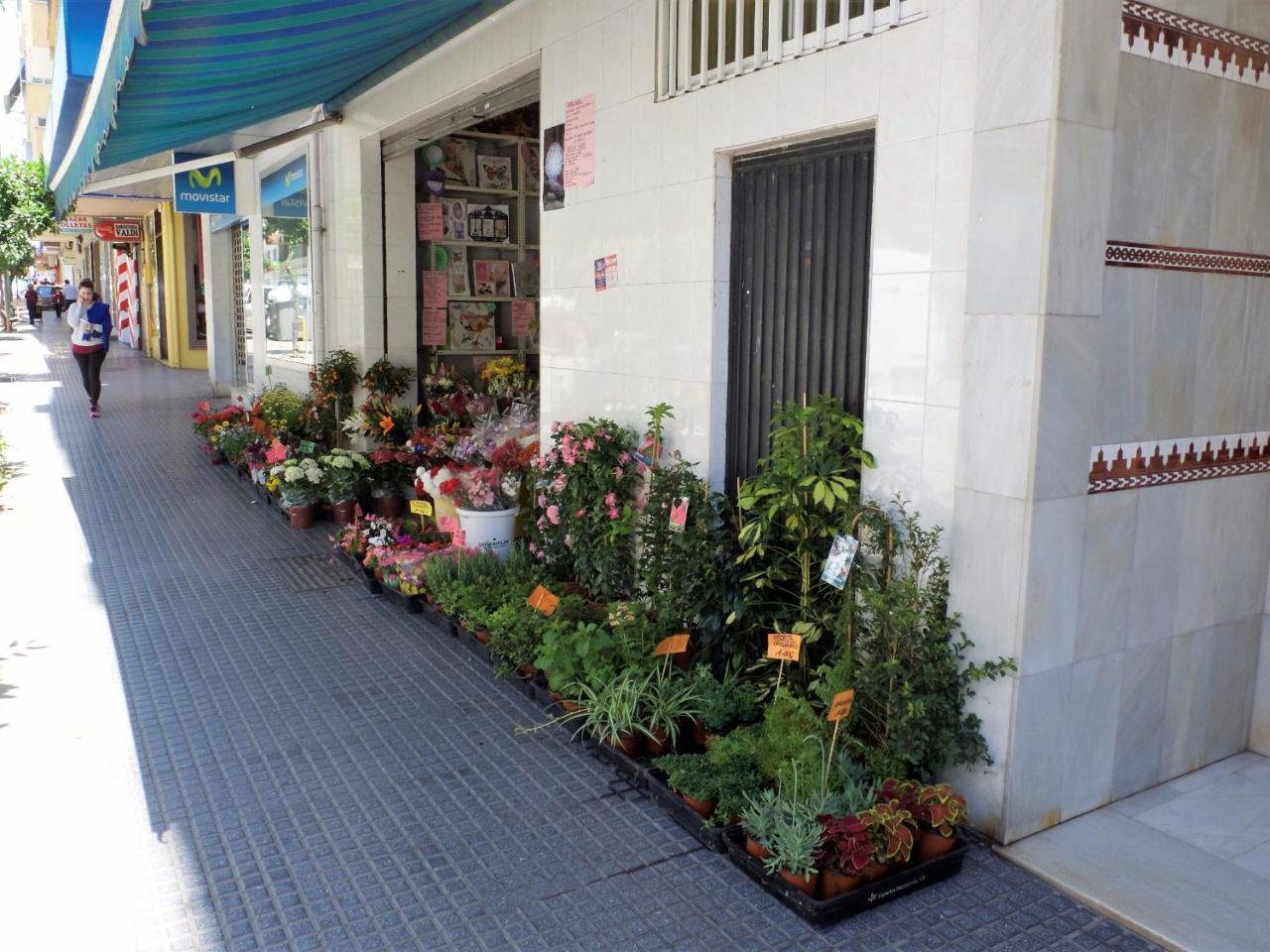 Suite Homes La Victoria Malaga Bagian luar foto